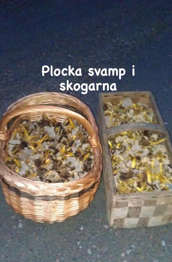 Orkelljunga Sigridstorp Asljunga 빌라 외부 사진